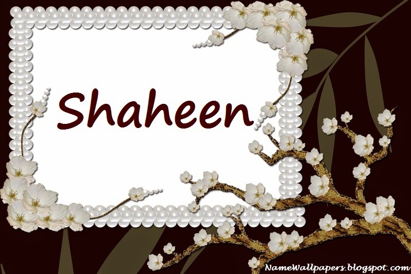 Shaheen Name Wallpapers Shaheen ~ Name Wallpaper Urdu Name Meaning Name  Images Logo Signature