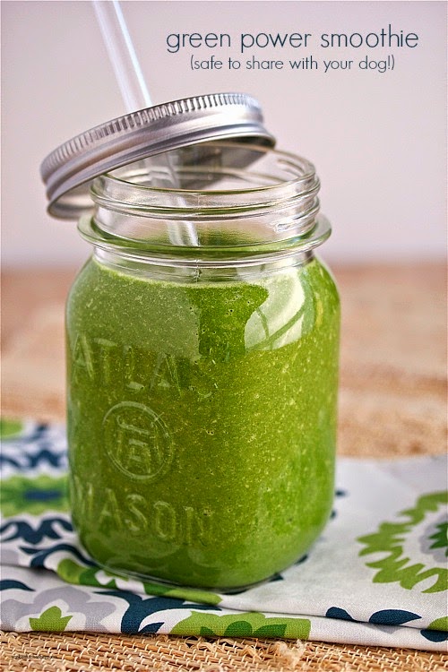 Green power smoothie (to share with your dog!) Yankee Kitchen Ninja