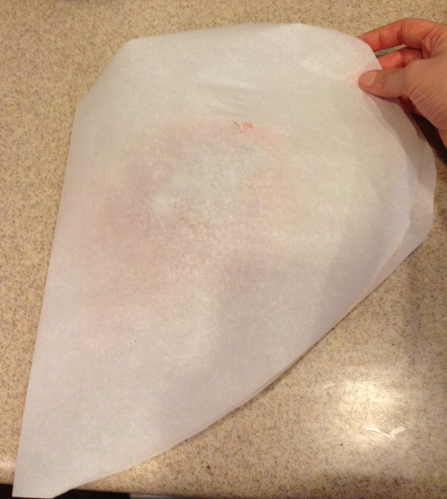 The Paleo Review Alton Brown's Parchment Paper Salmon