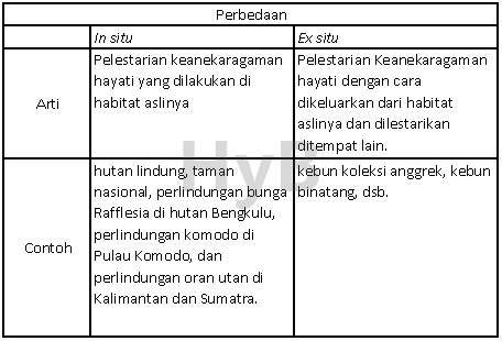 Test Perbedaan Pelestarian In Situ Dan Ex Situ