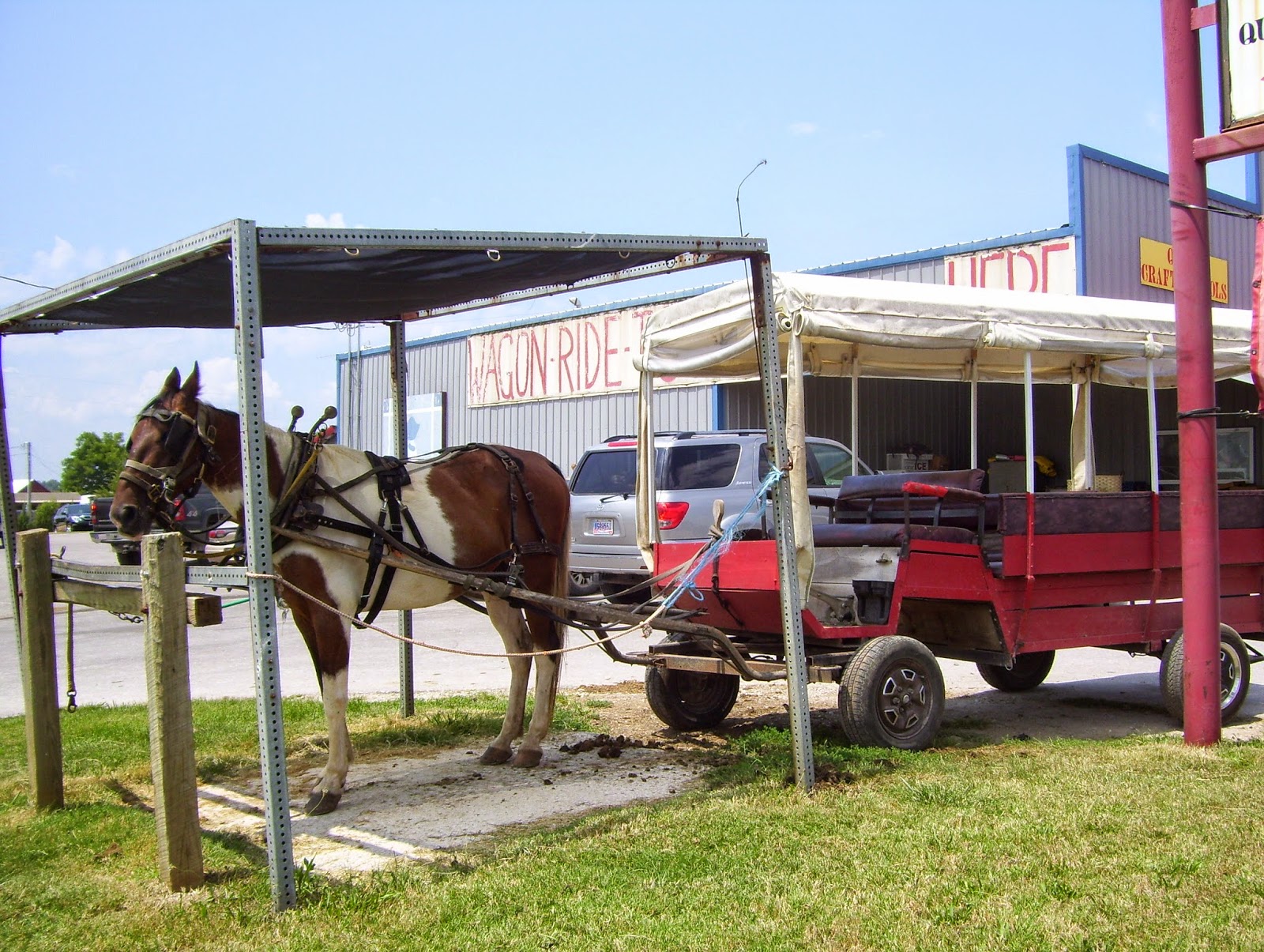 The Art of Positive Living The Amish in Tennessee