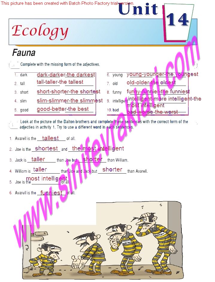 7.Sinif ingilizce Ozgun Yayinlari Ogrenci Calisma Kitabi Cevaplari