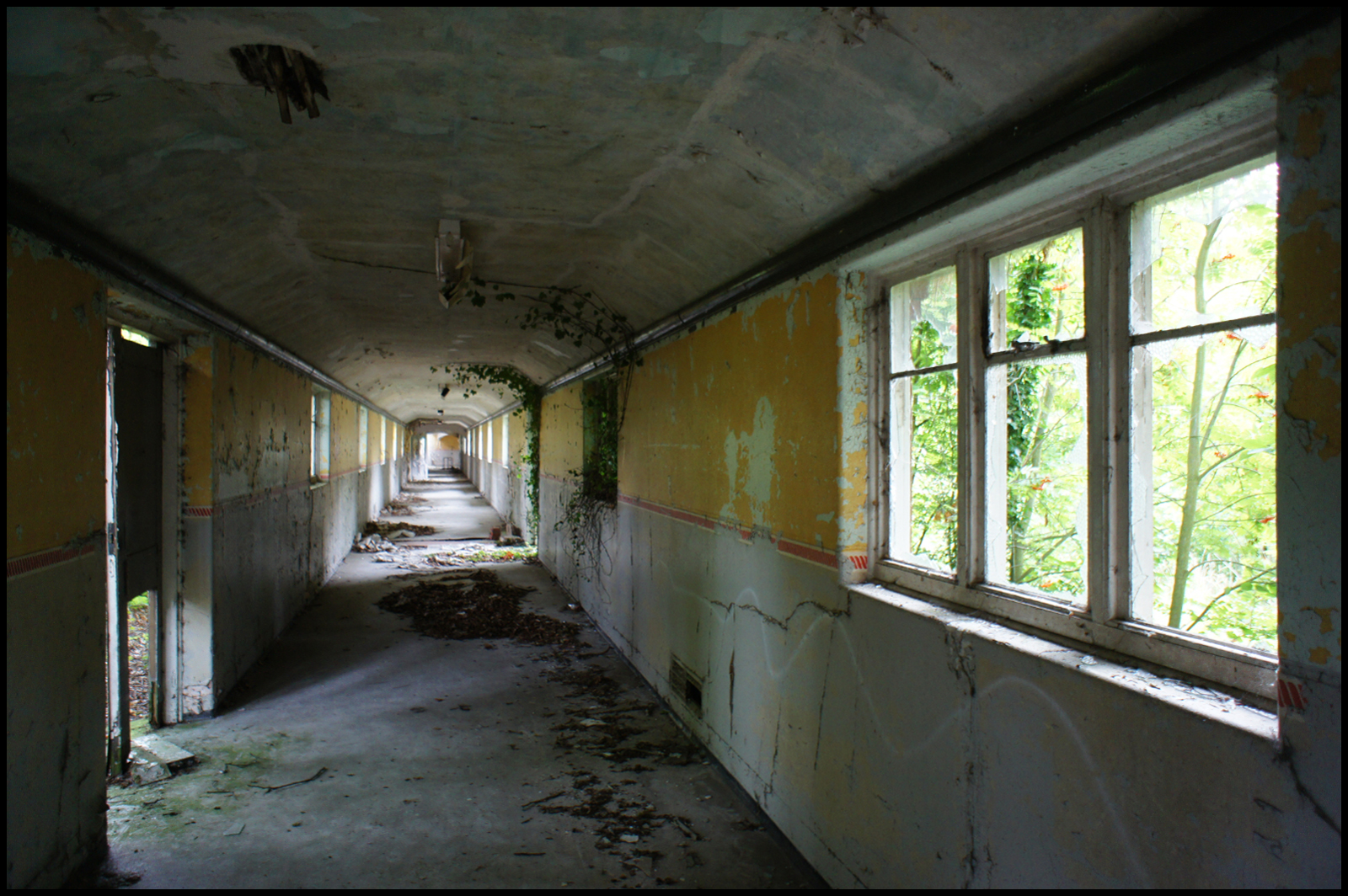 Graffiti Clips SEVERALLS, L�asile Psychiatrique imprenable