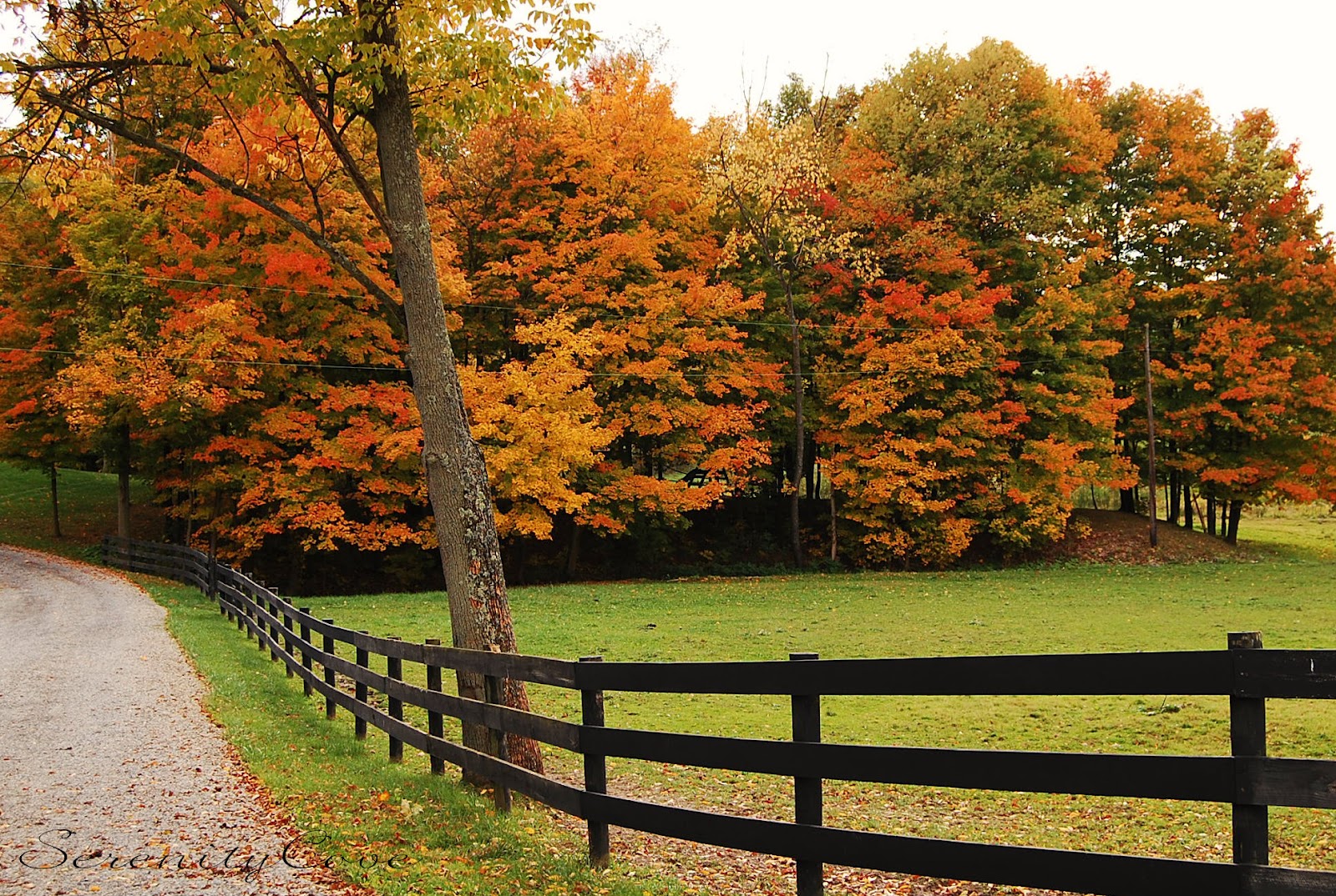 serenity cove beautiful fall foliage serenity cove beautiful fall foliage