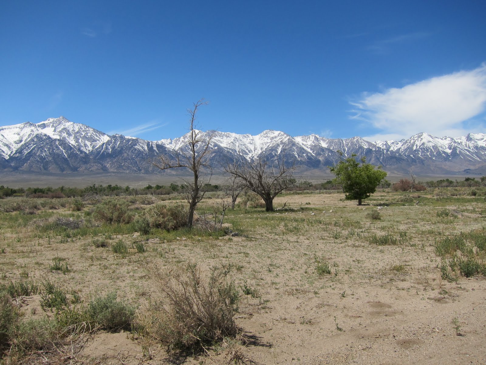 Nate's Nonsense Manzanar