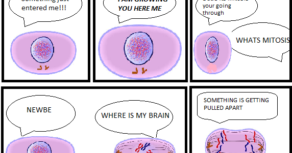 Sports News: Mitosis cartoon strip