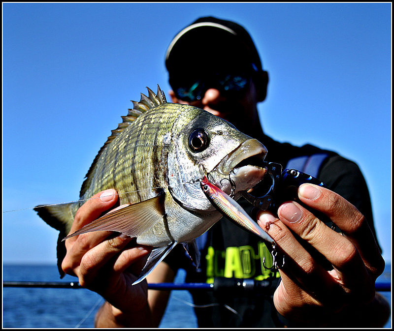 RockFishing Spain El potencial del equipo de Rockfishing