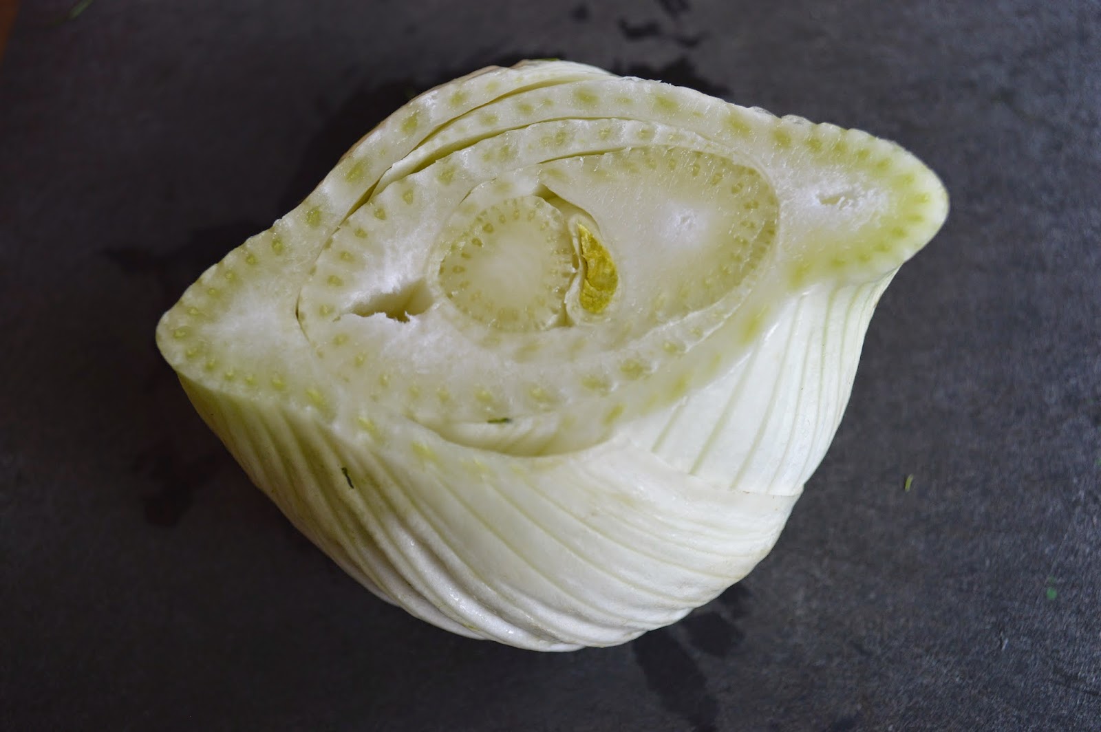 From Scratch Caramelized Fennel