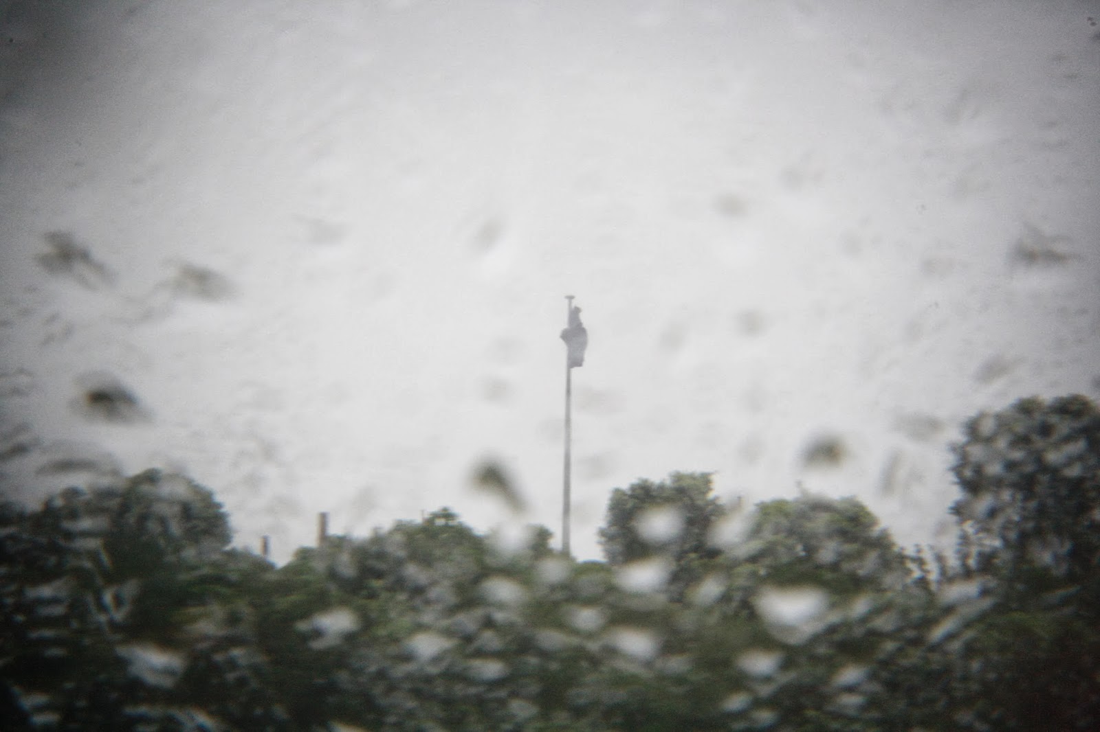 Rain on a car window.