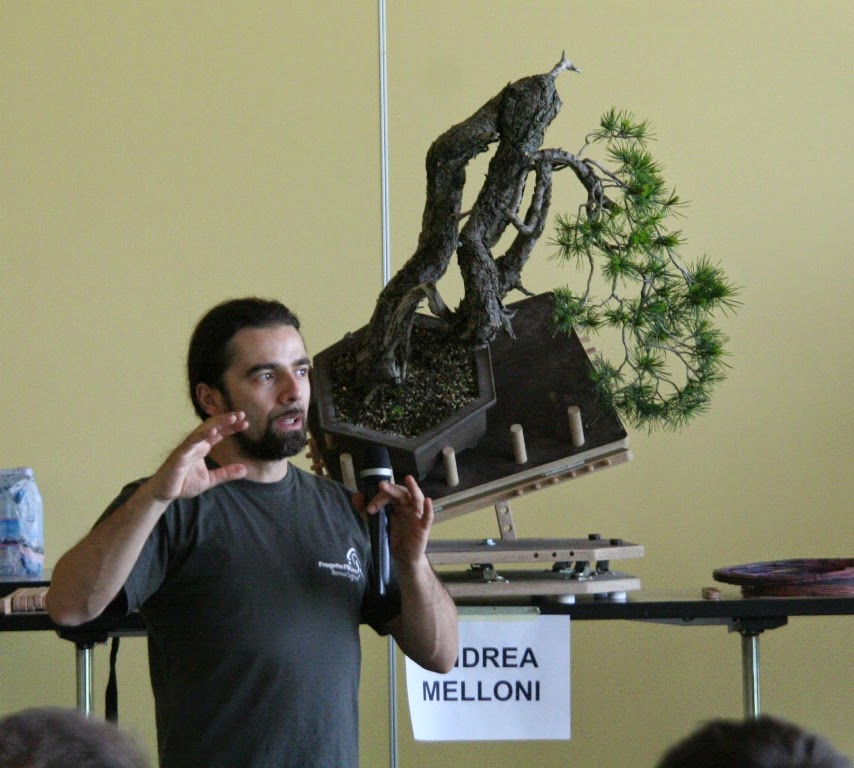 Nik Art bonsai blog 6th International bonsai exhibition demo Andrea