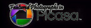 My Favorite "Featured Photos" on Picasa