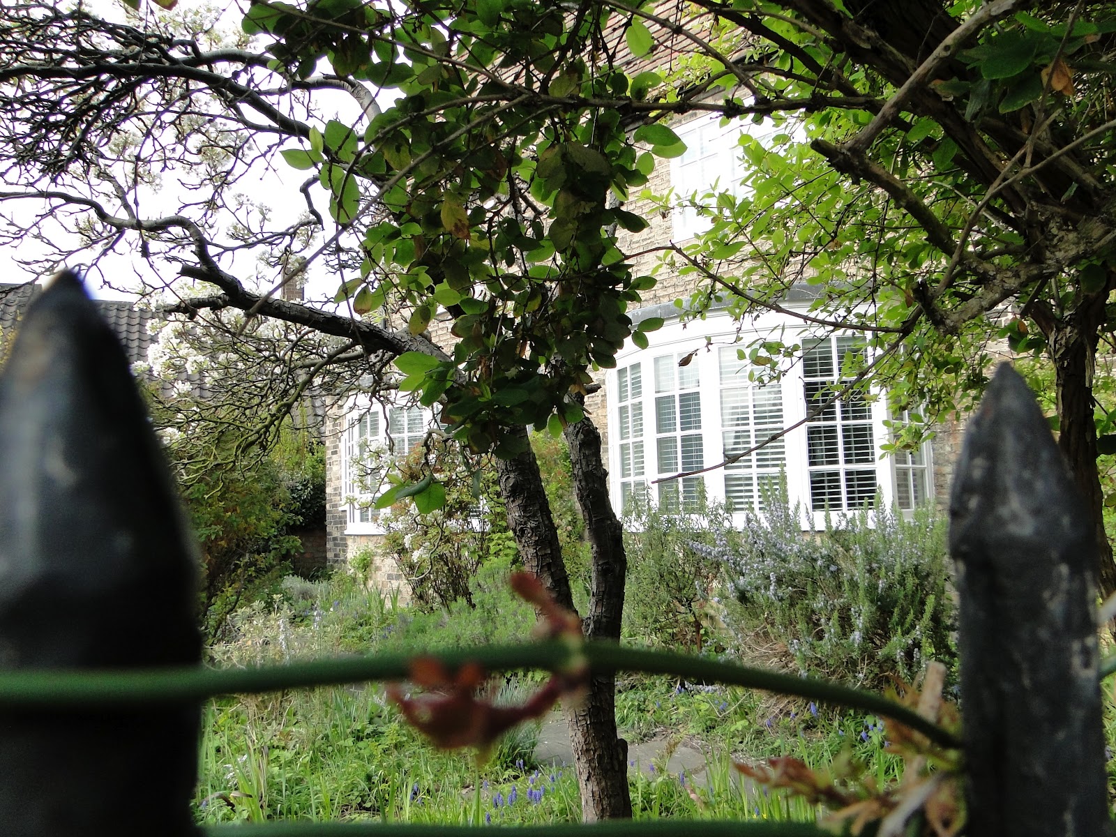 Lilbitbrit Kettle's Yard, Cambridge