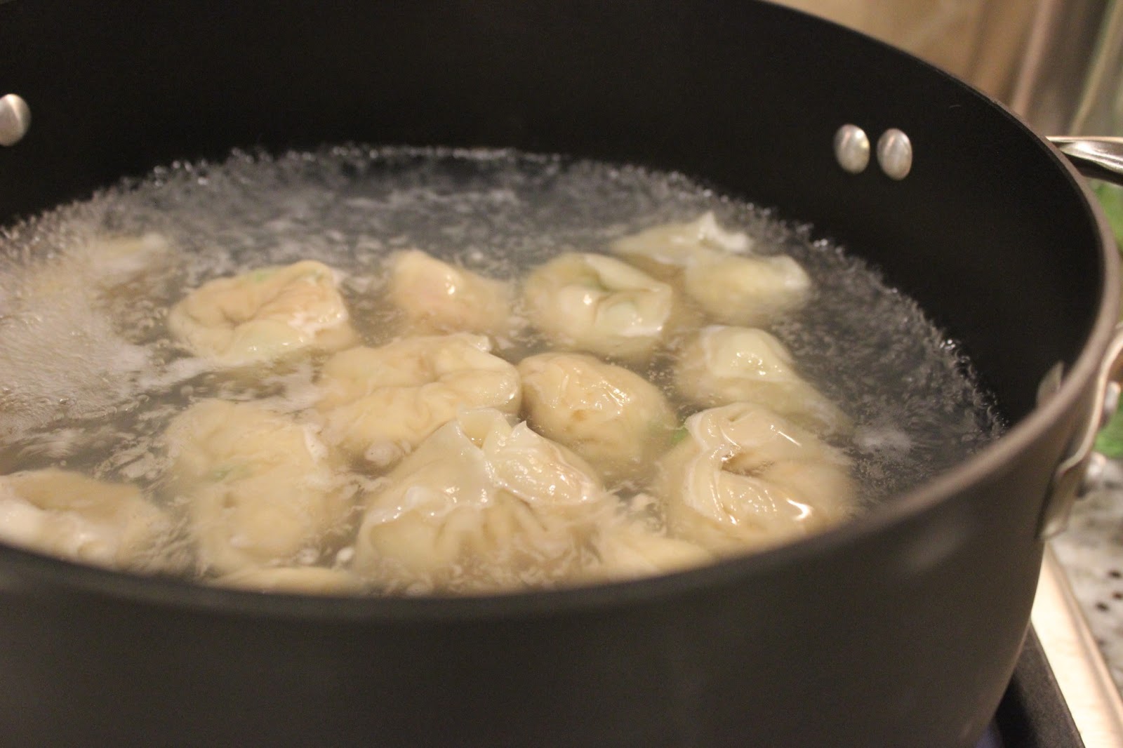 Tidbits & Thyme Pork Dumplings