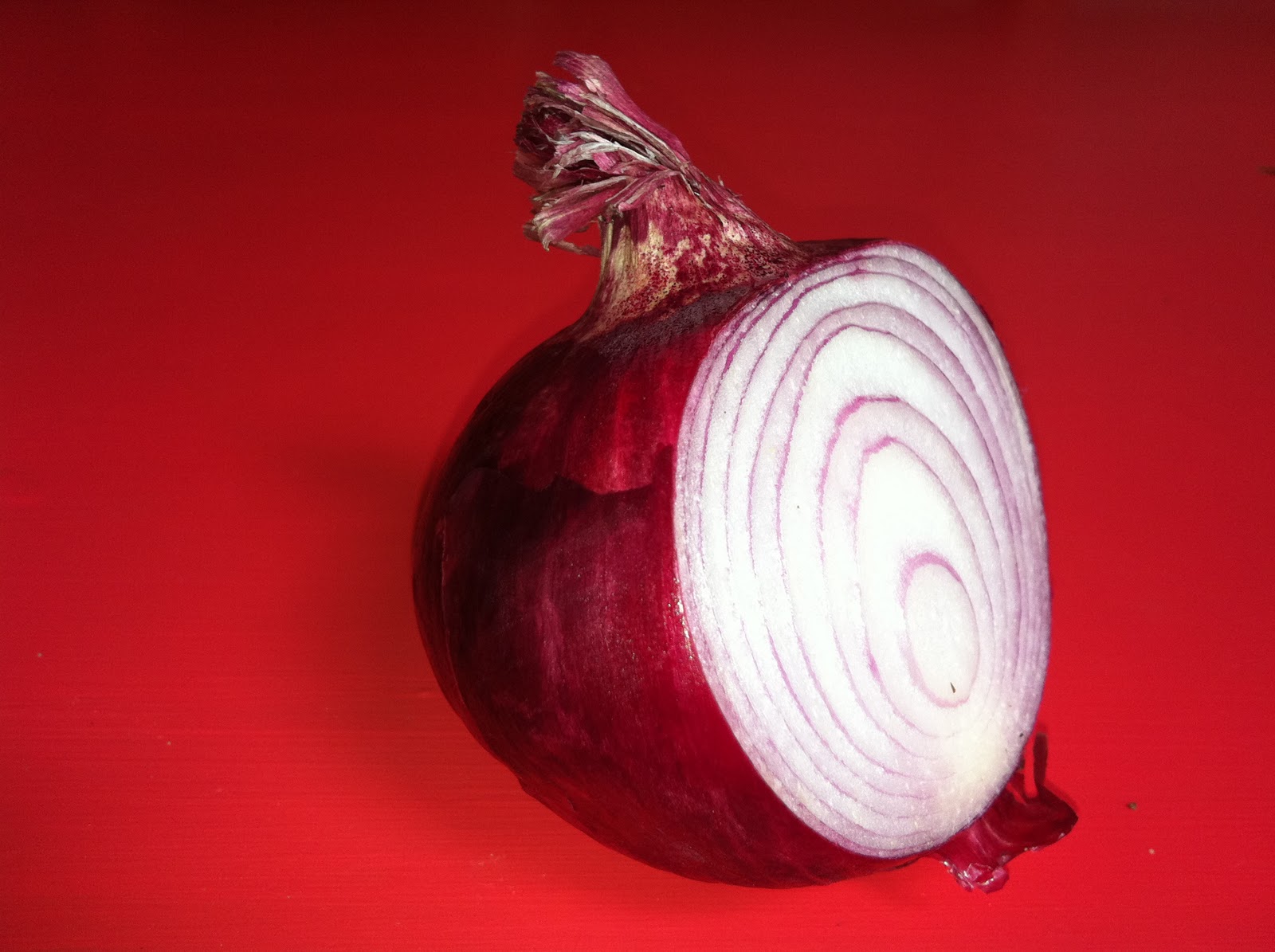 Tummy Rumble Organic Kitchen the humble onion a natural