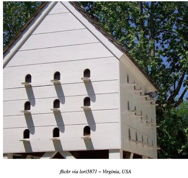 Raising Pigeons, and Examples of Pigeon Houses Big Picture Agriculture