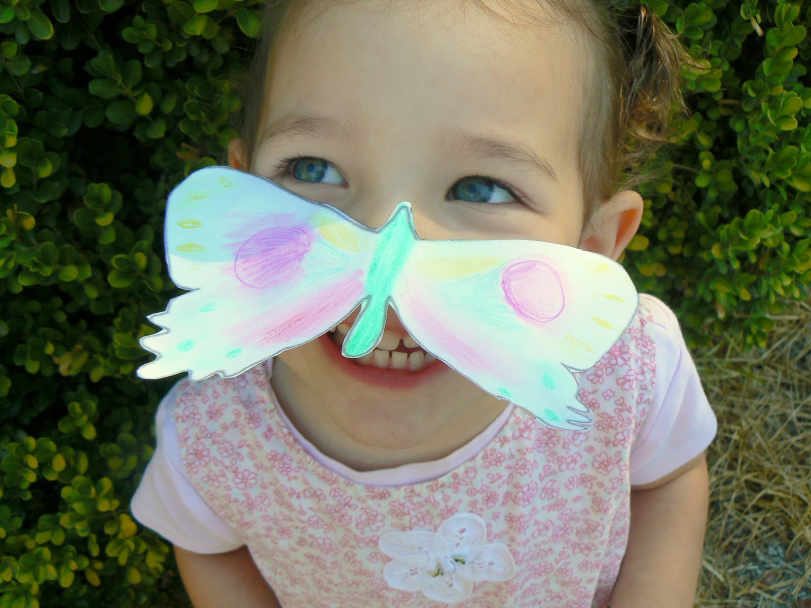 Having Fun at Home Amazing Balancing Butterfly Craft