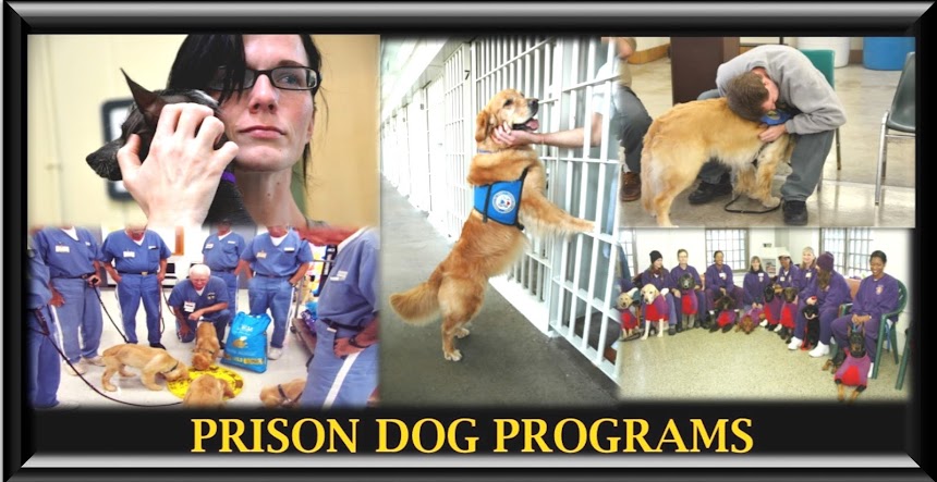 PRISON DOG PROGRAMS ~ BRIDGES and PATHWAYS of COURAGE