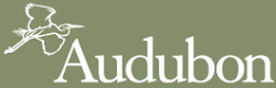 Audubon.org