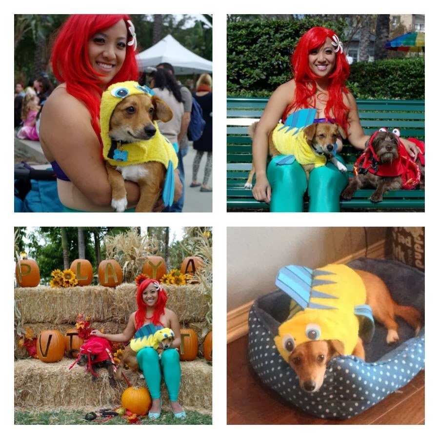 Special Delivery by Jackie Flounder Dog Costume