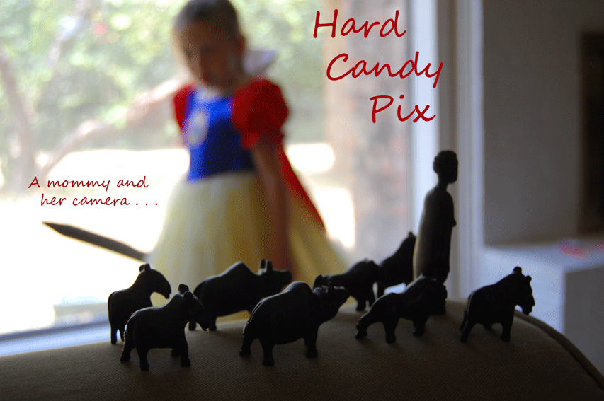 Hard Candy Pix