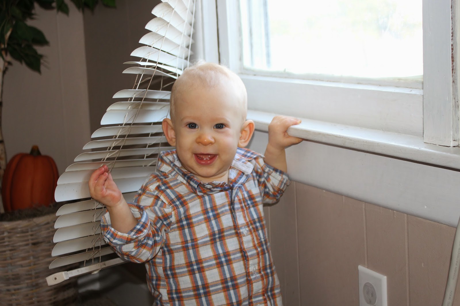 Life is Goode I have a silly baby with an orange nose.