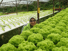 Foto Saya