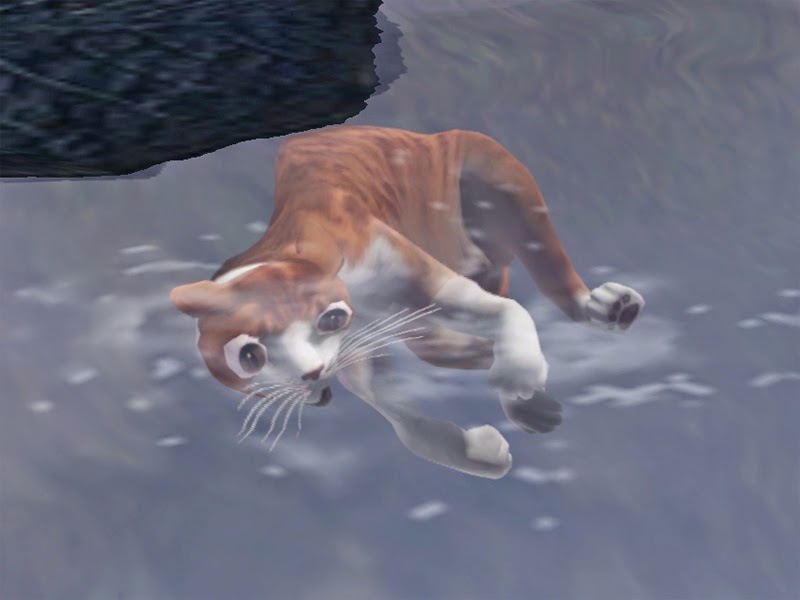 02.jpg