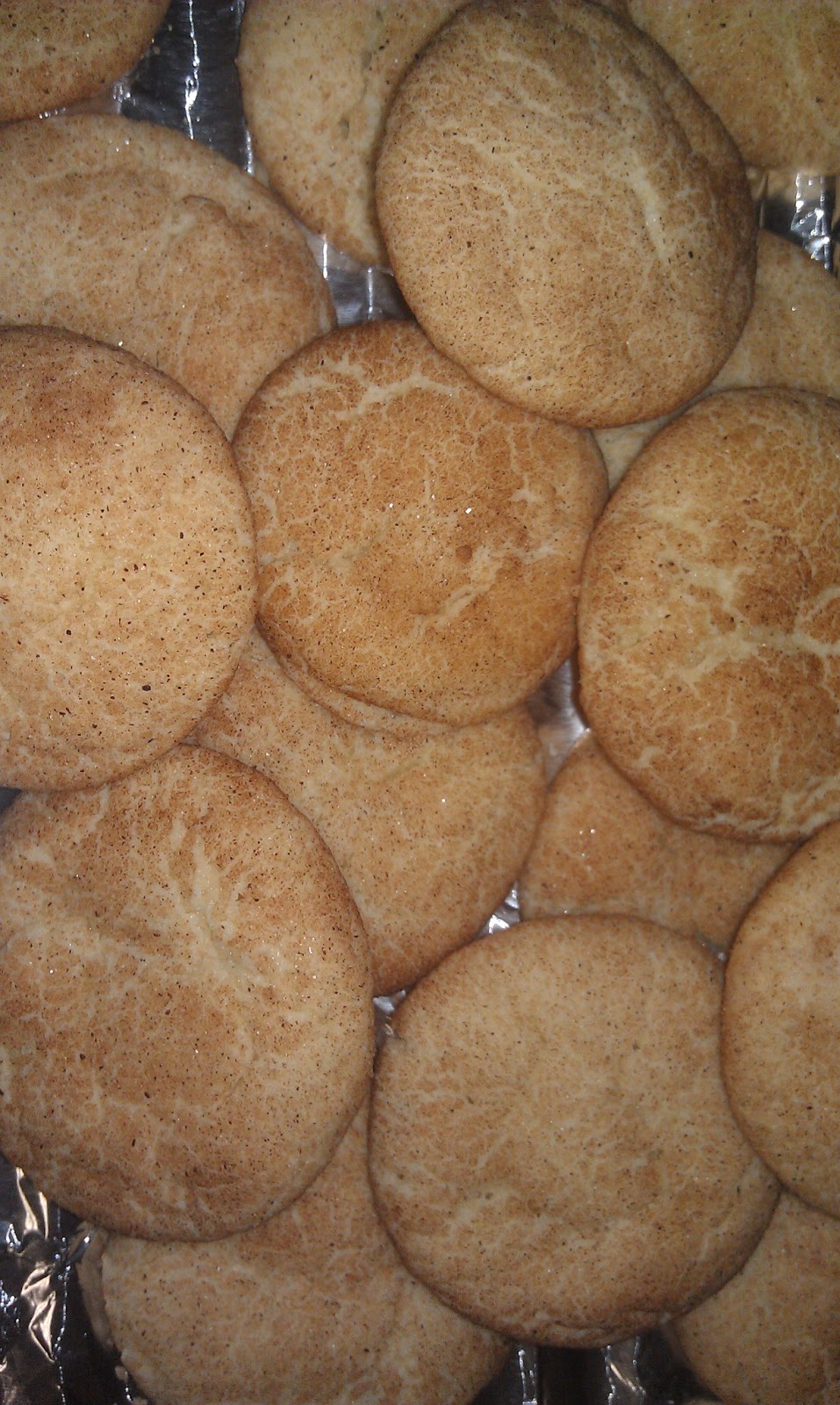 CK's Foodie Friends Snickerdoodles Better Homes and Gardens Cookbook