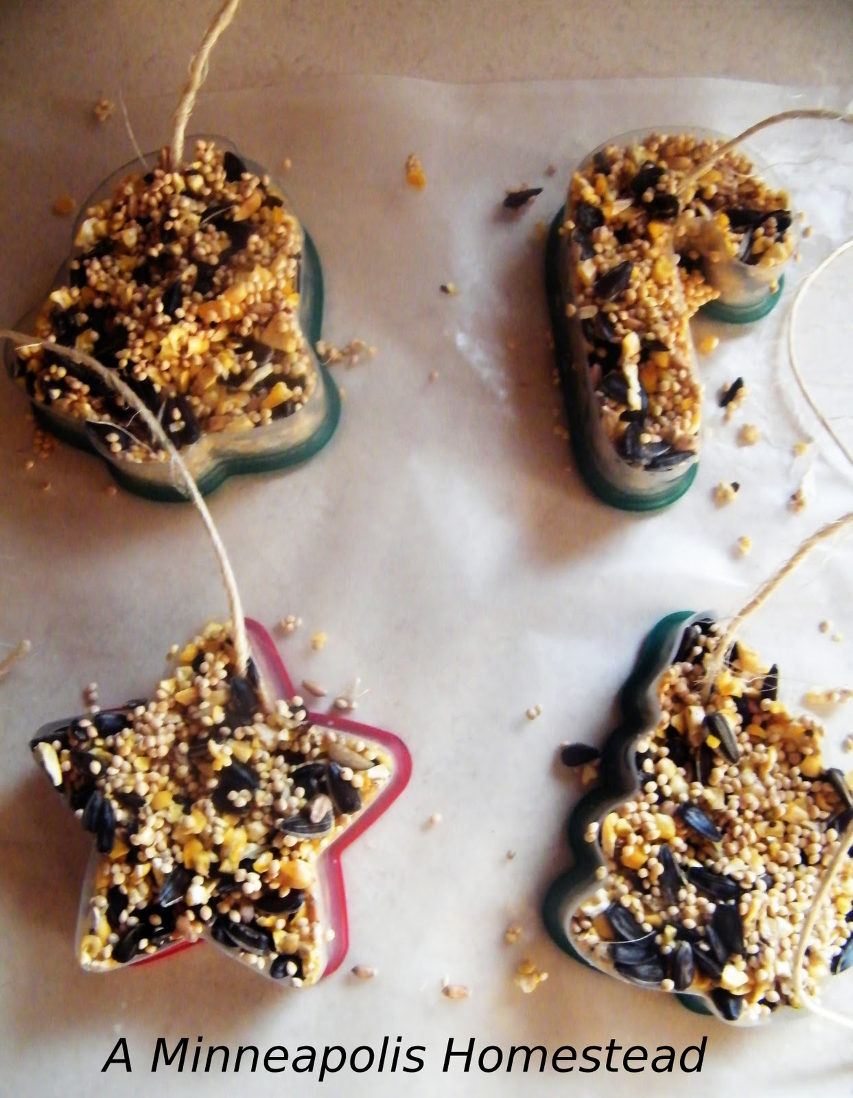 Feed the Birds this Winter Bird Seed Cake Tutorial Minneapolis Homestead