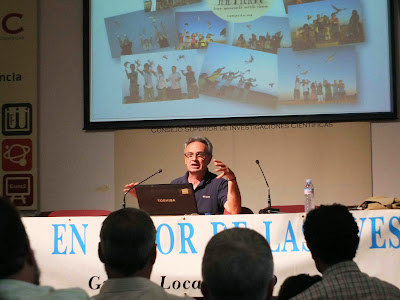 Conferencia "Cernícalos, iglesias y catedrales". Por José Antolín (Presidente DEMA), en el ciclo Martes Ornitológicos que el Grupo Local SEO-Sevilla organiza en el museo Casa de la Ciencia de Sevilla