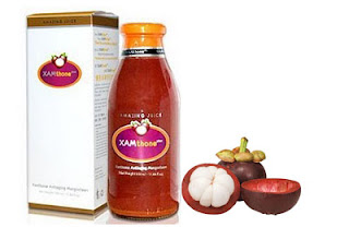 Obat Sinusitis Obat Sinusitis Alami