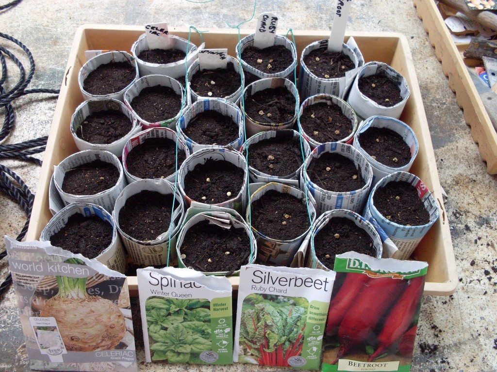 Just Like My Nan Made Newspaper Pots Tutorial make your own