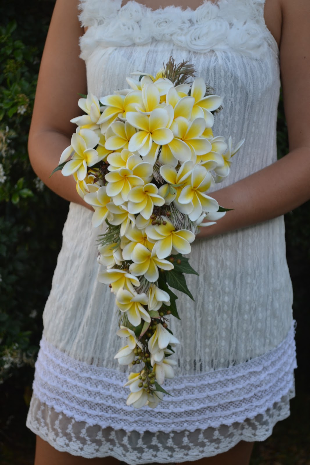 French Blue and Peachy Pink THURSDAY FLOWERS...... Pretty Frangipani
