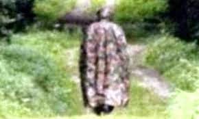 Φωτογράφισαν για πρώτη φορά το μυστήριο πλάσμα που ζει στα δάση plasma zei sta dasi