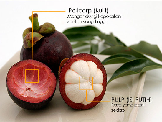 khasiat-buah-manggis.jpg