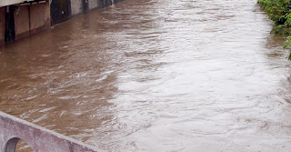 Transbordo de rio faz desabar ponte e interrompe trânsito na principal estrada de Moçambique