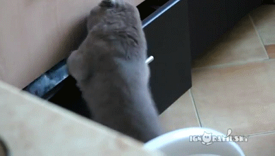 20130831005143_737.gif
