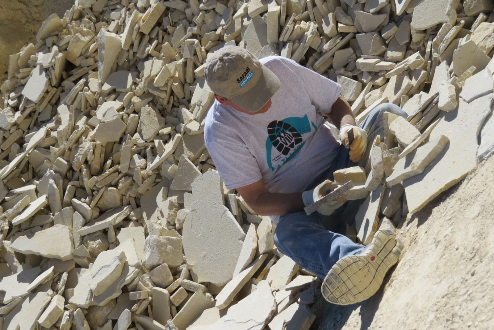 Readerbuzz Hunting for Fossil Fish, Outside Kemmerer, Wyoming