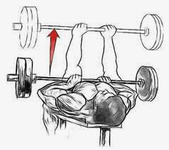 Free Bodybuilding Tips Best Triceps Exercises