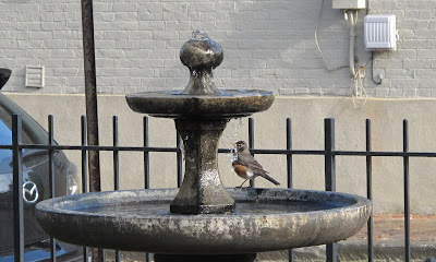 Splish, Splash, Takin' a Bath