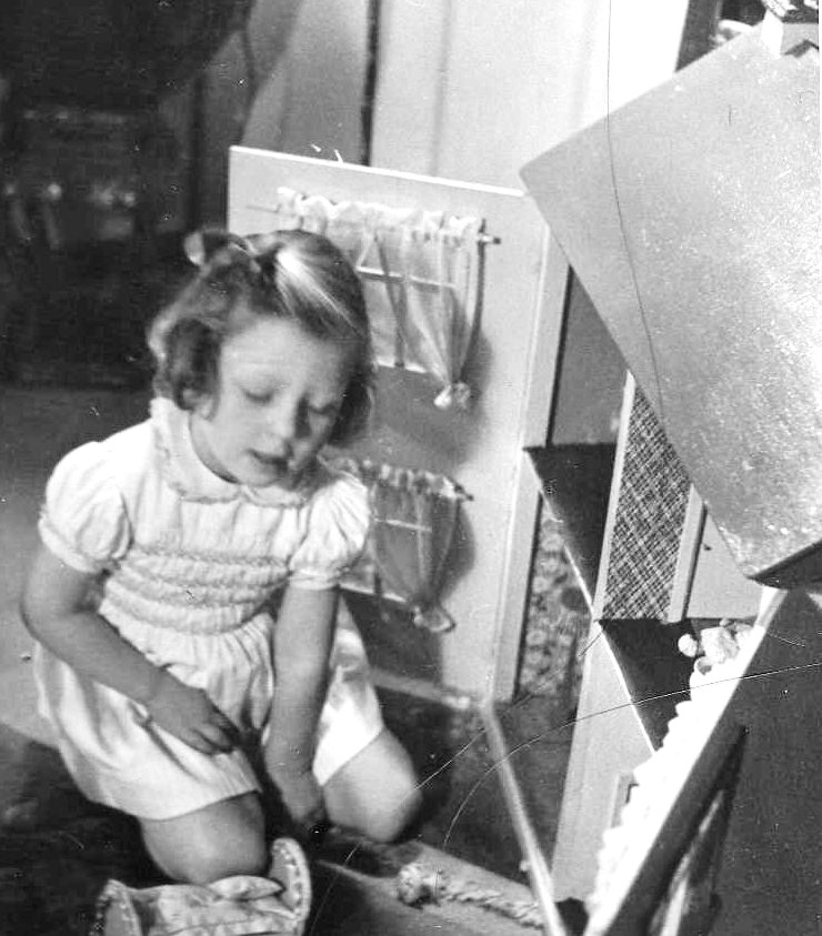 Cestina's dolls houses How it all began