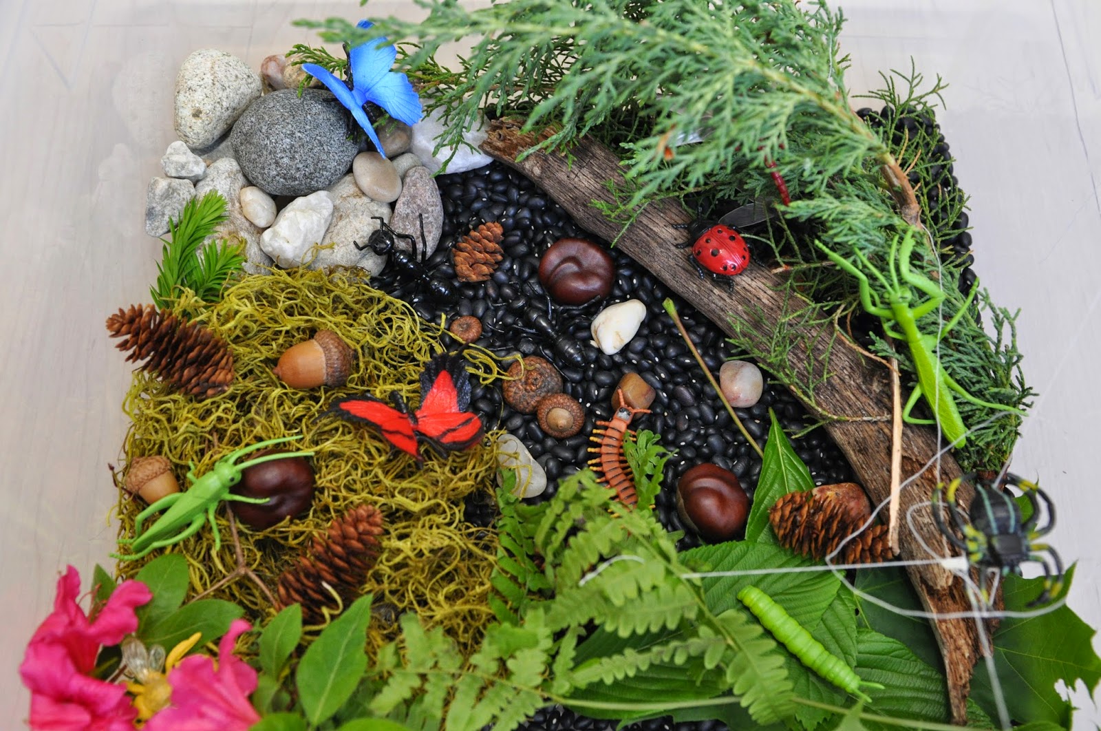 Creative Projects for Kids Insects Sensory Bin