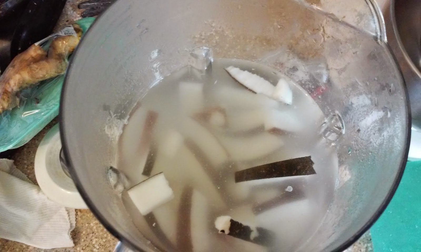 You Be the Cook How To Make Fresh Coconut Milk