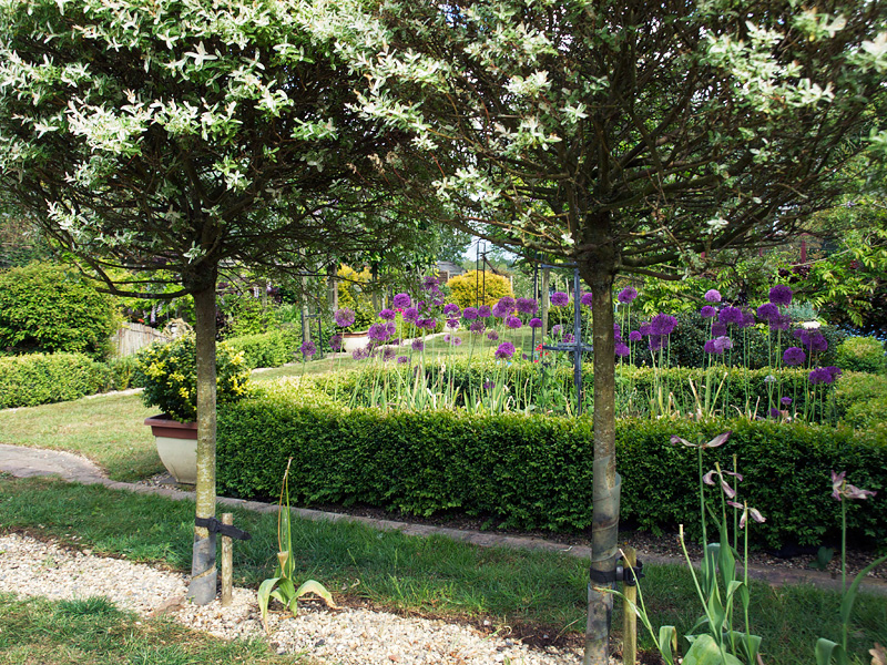 Garden Design Ideas - Garden Edging Ideas