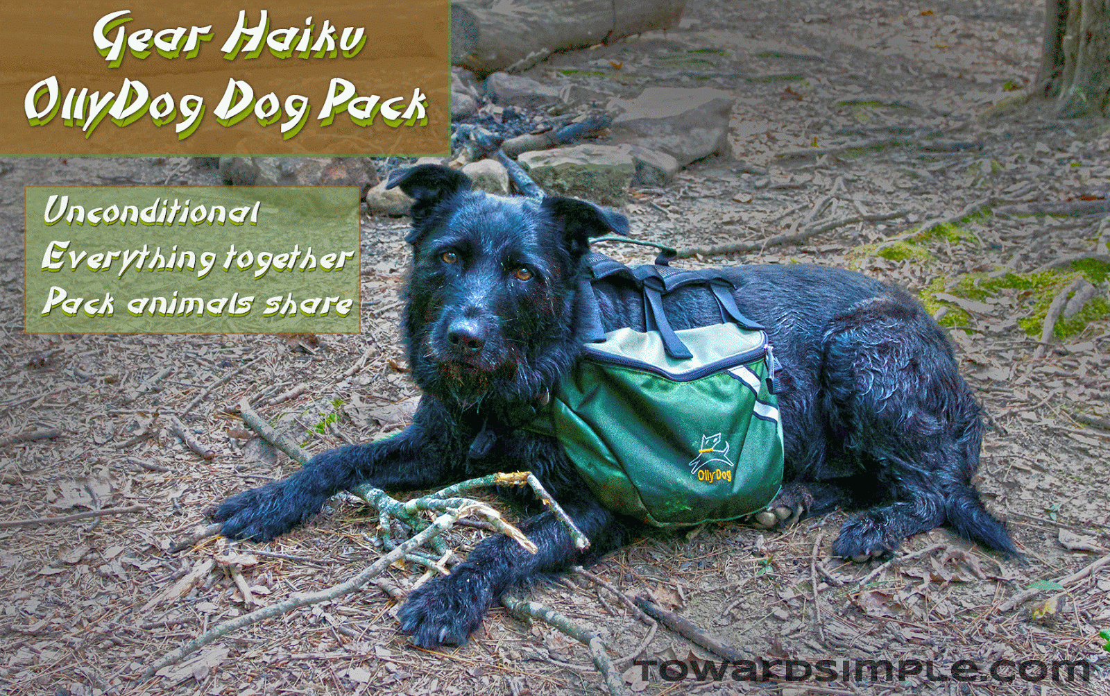 Gear Haiku to OllyDog Pack OlllyDog dog pack haiku