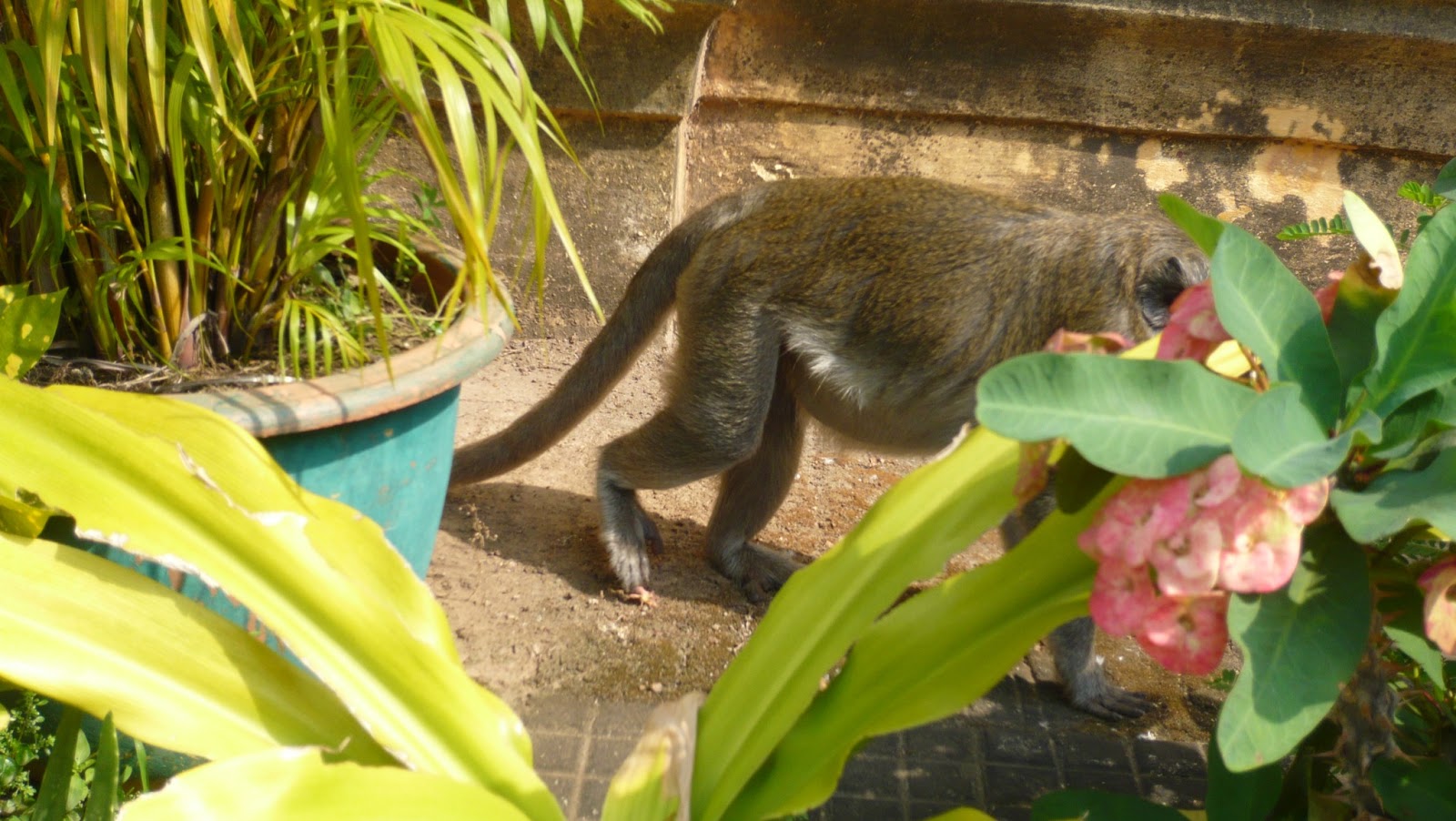 rencontre cambodge
