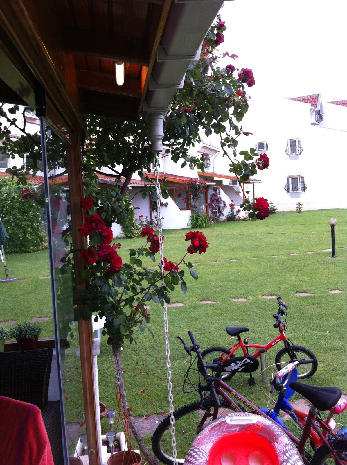 aramızda BEBEK var!!! ordan BURDAN şurdan&hellip;.