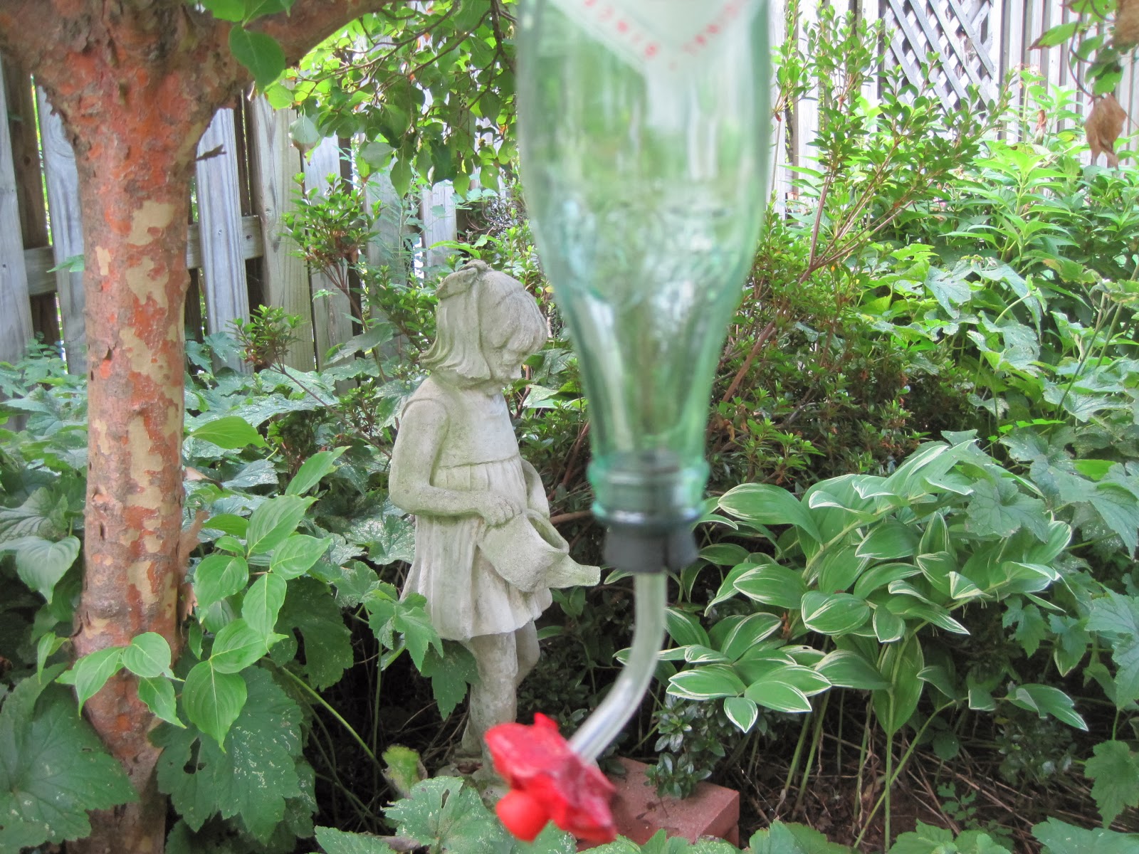 In and Out of My Garden: Garden Ornaments