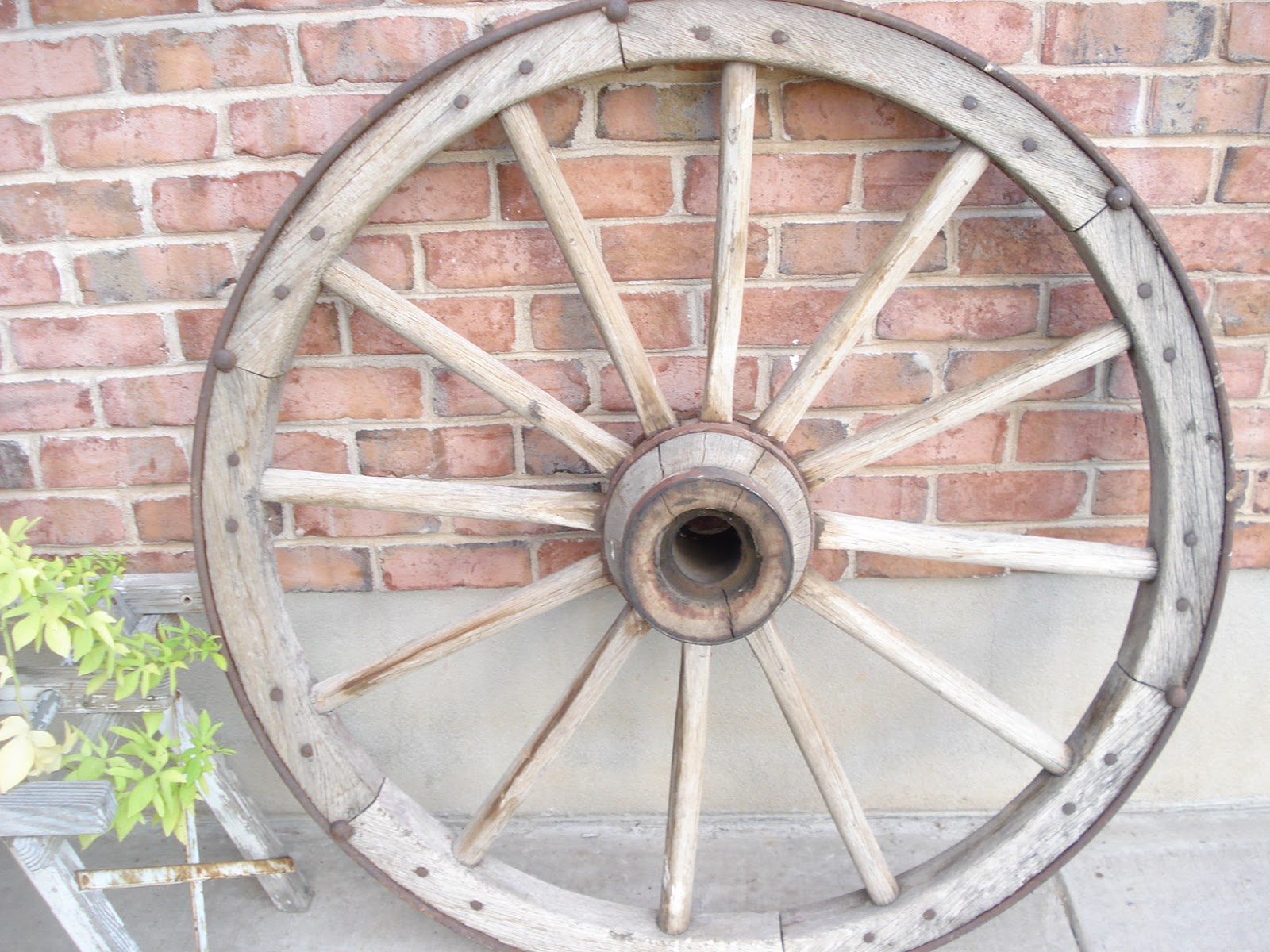 Just a bed of Roses Antique wagon wheel 150.00