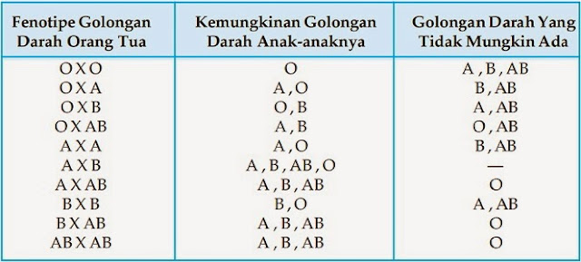 Pengaruh Golongan Darah Orangtua Terhadap Golongan Darah Anak Pengaruh Golongan Darah Orangtua Terhadap Golongan Darah Anak